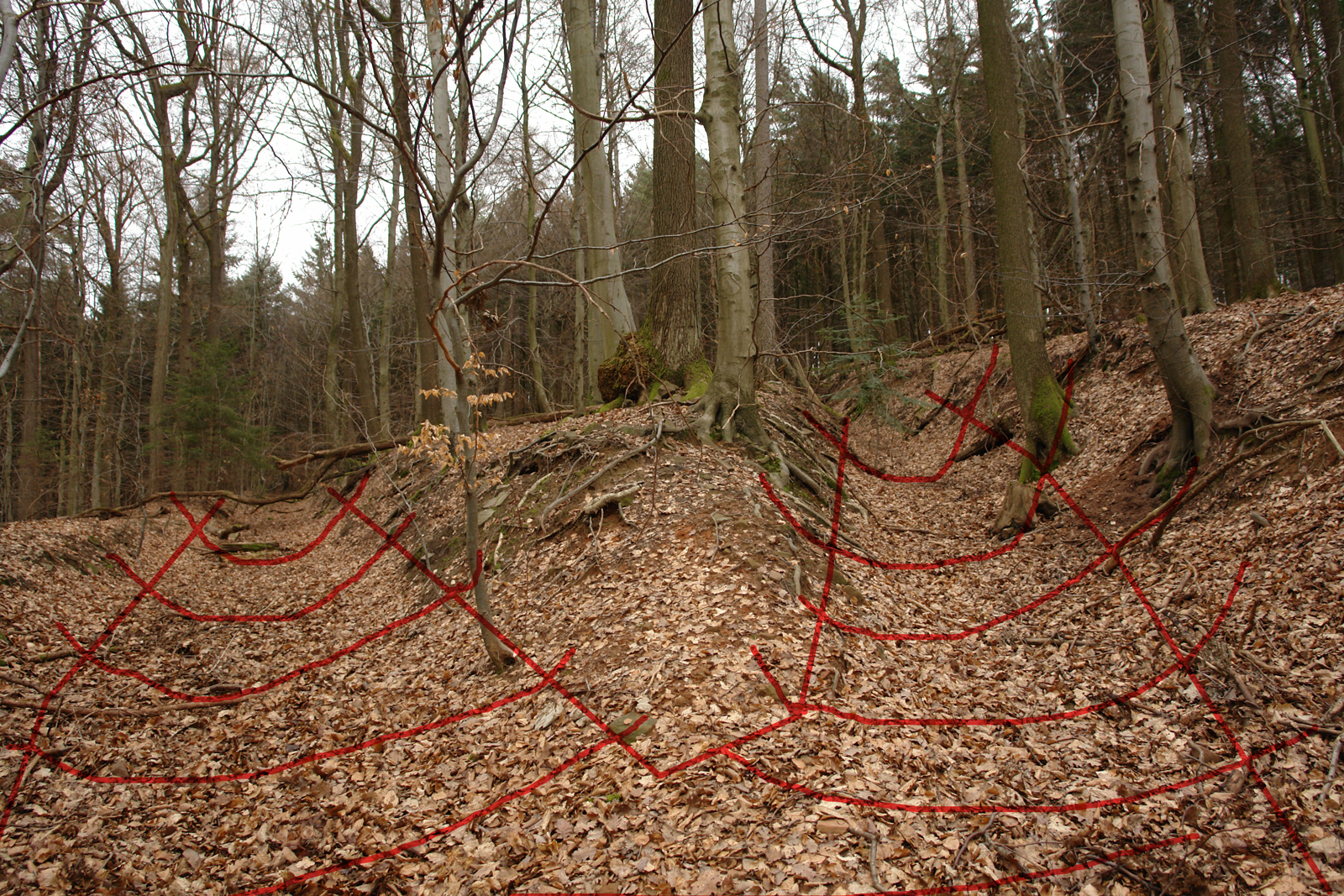 Die alte Verbindung zwischen Schönau und Ziegelhausen